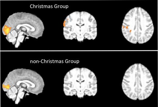 jul-hjärna
