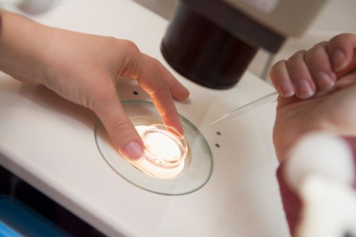 Embryologist lägga spermier till ägget - Stock Image