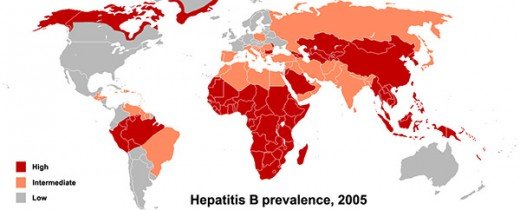 hepatit-b-bred