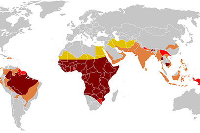 Områden främst drabbade av malaria. 