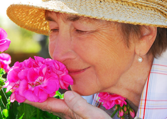Sämre luktsinne kan vara tidigt tecken på Alzheimers
