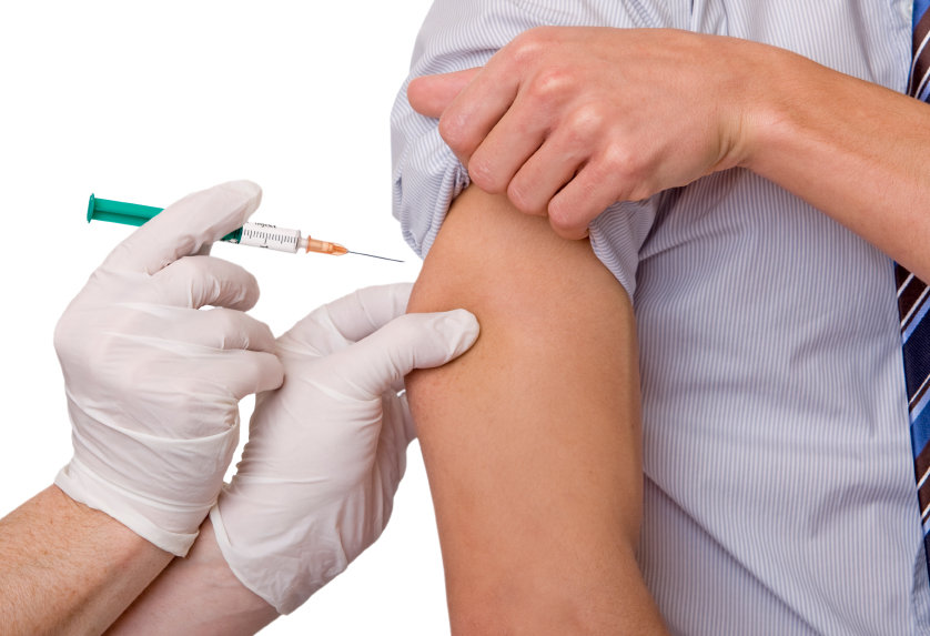 vaccin mot fästing